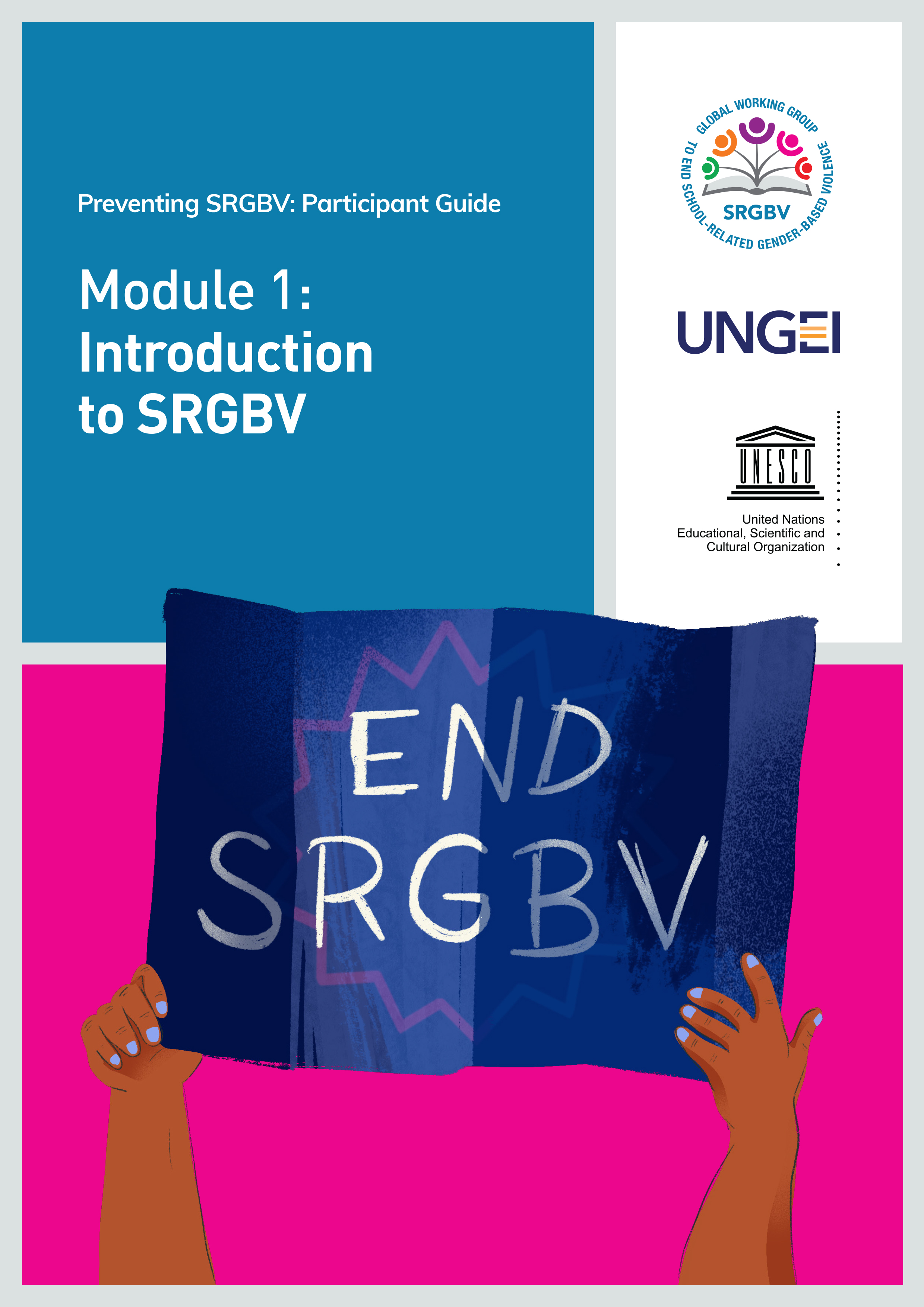 Preventing SRGBV - Module 01 participants guide