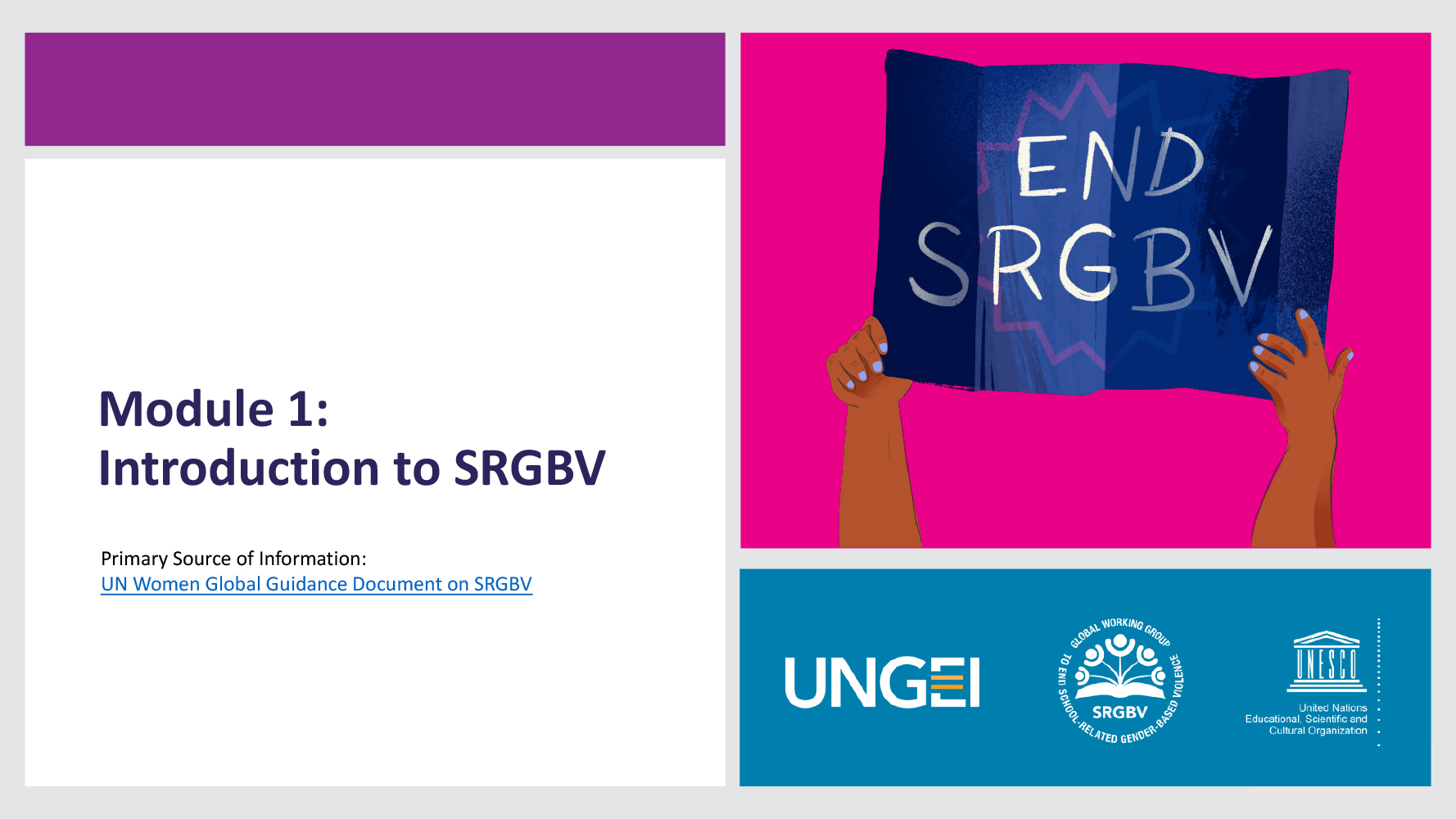 Preventing SRGBV - Module 01 Presentation