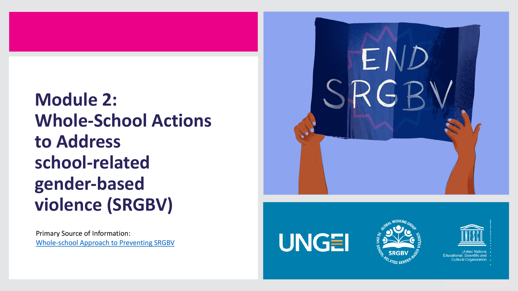 Preventing SRGBV - Module 02 Presentation