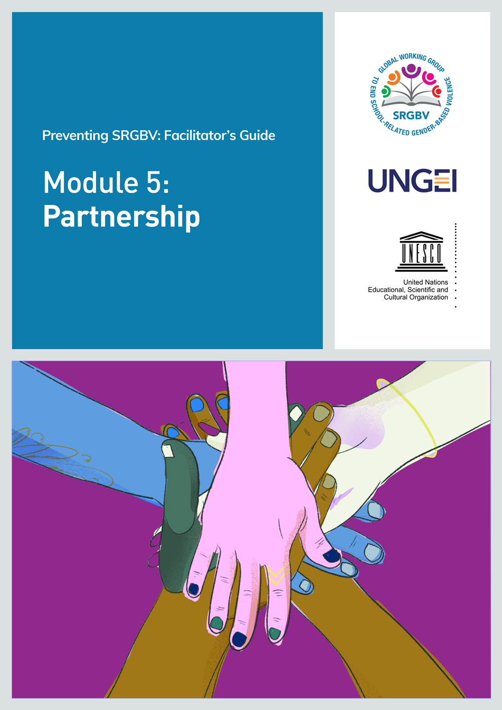 Preventing SRGBV - Module 05 participants guide